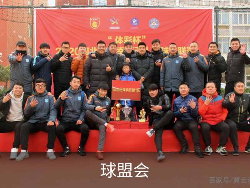 关于球盟会